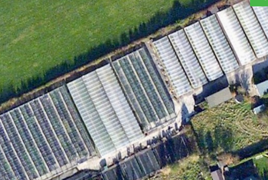Littlefield Nursery